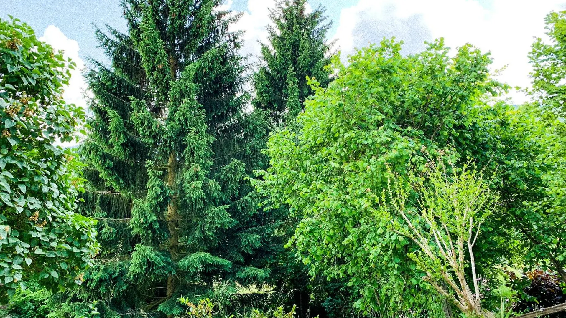 Ferienhaus Rhoen-Auszeit Bischofsheim an der Rhön Niemcy